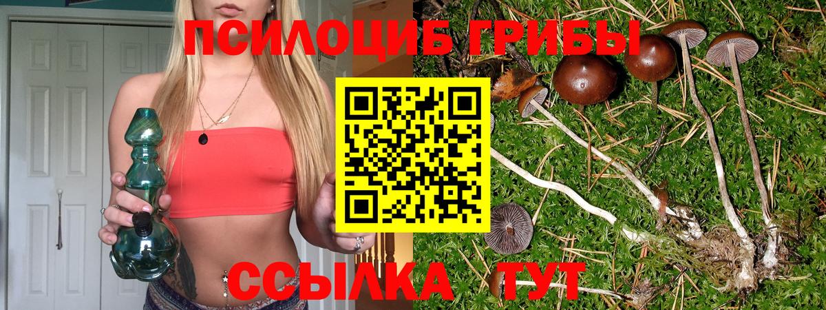 Псилоцибиновые грибы мухоморы Валуйки