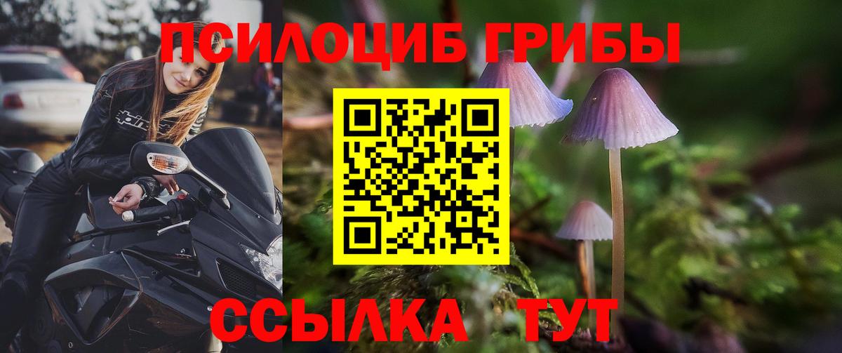 Псилоцибиновые грибы Cubensis  Вход с VPN  Валуйки 